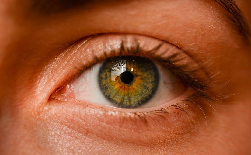 Oczy to jednostkowy organ. To właśnie dzięki nim widzimy.